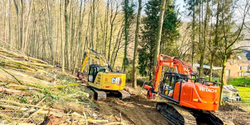 Abattage et débardage en forêt par les équipes Extram