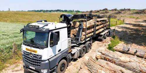 Stock de bois et de matériaux recyclés commercialisés par Extram